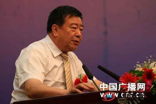 2010中國寧夏石嘴山光伏產業發展論壇開幕